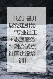 辽宁省开展党建引领“专业社工+志愿服务”融合试点社区建设培训