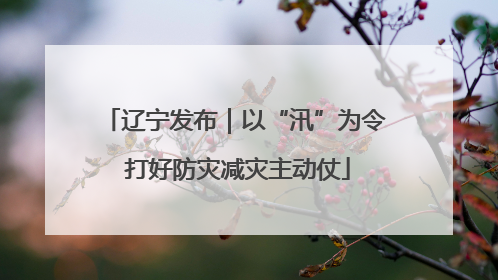 辽宁发布｜以“汛”为令 打好防灾减灾主动仗