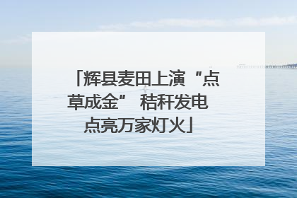 辉县麦田上演“点草成金” 秸秆发电点亮万家灯火