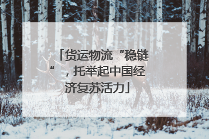 货运物流“稳链”，托举起中国经济复苏活力