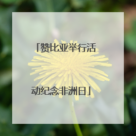 赞比亚举行活动纪念非洲日