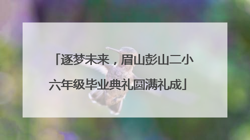 逐梦未来，眉山彭山二小六年级毕业典礼圆满礼成