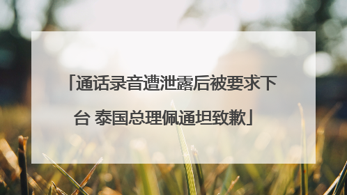 通话录音遭泄露后被要求下台 泰国总理佩通坦致歉