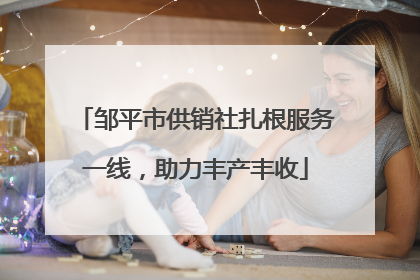 邹平市供销社扎根服务一线，助力丰产丰收