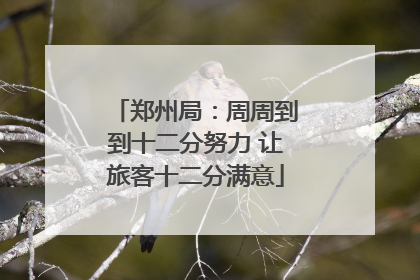 郑州局：周周到到十二分努力 让旅客十二分满意