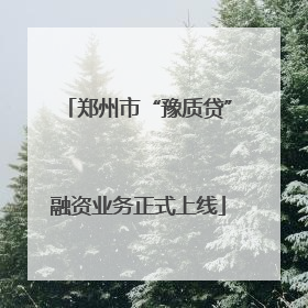 郑州市“豫质贷”融资业务正式上线