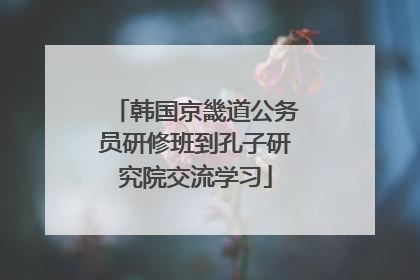 韩国京畿道公务员研修班到孔子研究院交流学习