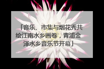 音乐、市集与烟花秀共绘江南水乡画卷，青浦金泽水乡音乐节开幕