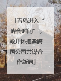 青岛进入“峰会时间”，敞开怀抱邀跨国公司共谋合作新局