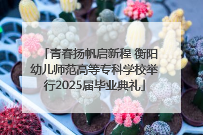 青春扬帆启新程 衡阳幼儿师范高等专科学校举行2025届毕业典礼