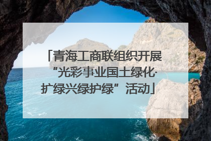 青海工商联组织开展“光彩事业国土绿化·扩绿兴绿护绿”活动