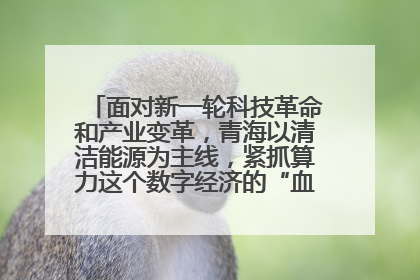 面对新一轮科技革命和产业变革，青海以清洁能源为主线，紧抓算力这个数字经济的“血液”、科技主权的“筹码”、产业升级的“杠杆”、绿色转型的“支点”，勇于撬动国家“双碳”战略、“东数西算”工程重大发展新机遇