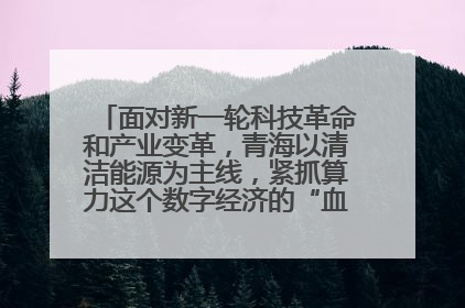 面对新一轮科技革命和产业变革，青海以清洁能源为主线，紧抓算力这个数字经济的“血液”、科技主权的“筹码”、产业升级的“杠杆”、绿色转型的“支点”，勇于撬动国家“双碳”战略、“东数西算”工程重大发展新机遇，点亮绿色算电协同新赛道，蹚出一条符合本地实际的高质量发展之路——青海：“绿色算力” 锚定“东数西算”国家战略布局