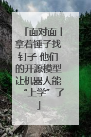 面对面丨拿着锤子找钉子 他们的开源模型让机器人能“上学”了