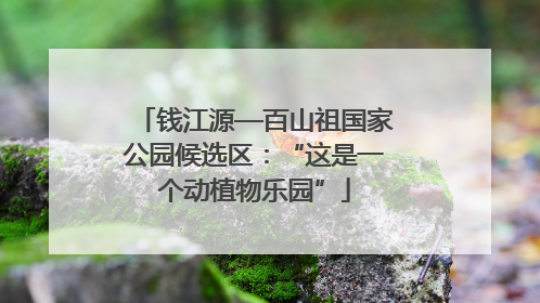钱江源—百山祖国家公园候选区：“这是一个动植物乐园”