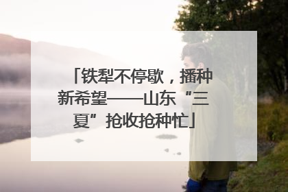 铁犁不停歇，播种新希望——山东“三夏”抢收抢种忙