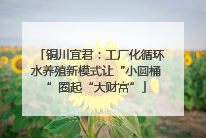 铜川宜君：工厂化循环水养殖新模式让“小圆桶”圈起“大财富”