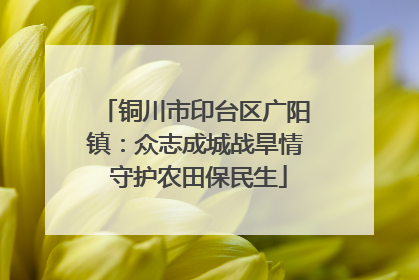 铜川市印台区广阳镇：众志成城战旱情 守护农田保民生
