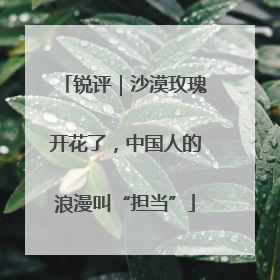 锐评｜沙漠玫瑰开花了，中国人的浪漫叫“担当”
