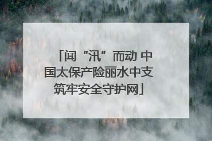 闻“汛”而动 中国太保产险丽水中支筑牢安全守护网