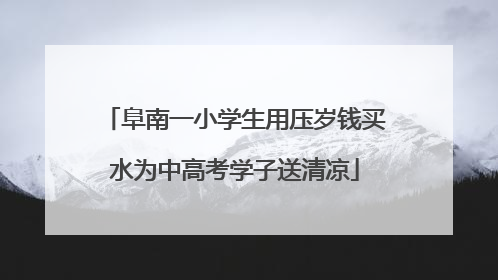 阜南一小学生用压岁钱买水为中高考学子送清凉