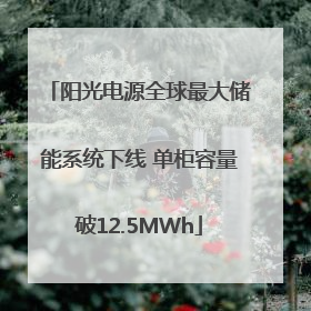 阳光电源全球最大储能系统下线 单柜容量破12.5MWh
