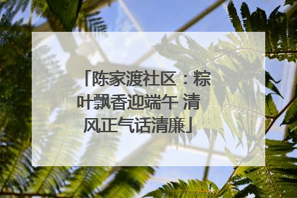 陈家渡社区：粽叶飘香迎端午 清风正气话清廉