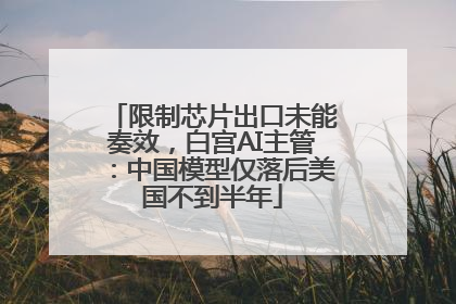 限制芯片出口未能奏效，白宫AI主管：中国模型仅落后美国不到半年