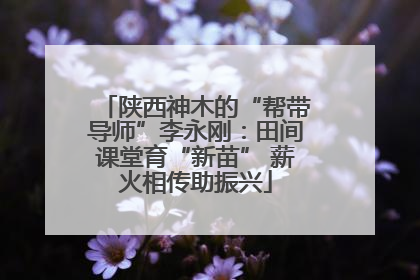 陕西神木的“帮带导师”李永刚：田间课堂育“新苗” 薪火相传助振兴