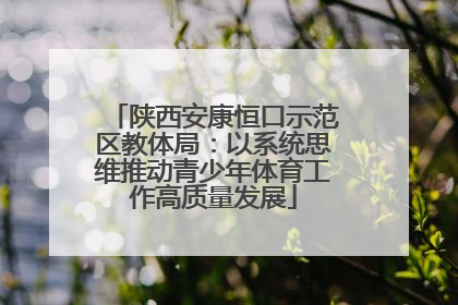 陕西安康恒口示范区教体局：以系统思维推动青少年体育工作高质量发展
