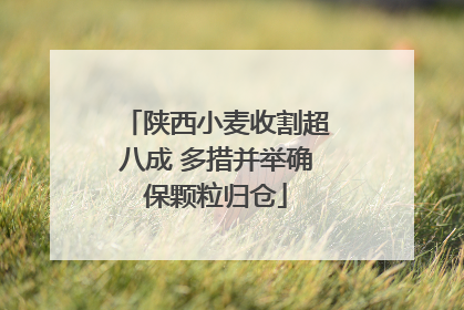 陕西小麦收割超八成 多措并举确保颗粒归仓