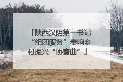 陕西汉阴第一书记“组团服务”奏响乡村振兴“协奏曲”