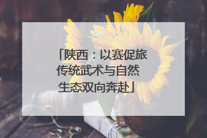 陕西：以赛促旅 传统武术与自然生态双向奔赴