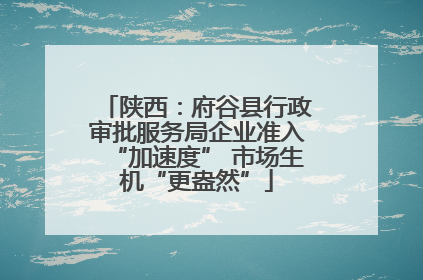 陕西：府谷县行政审批服务局企业准入“加速度” 市场生机“更盎然”