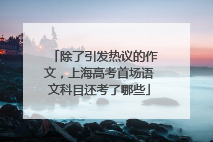 除了引发热议的作文，上海高考首场语文科目还考了哪些