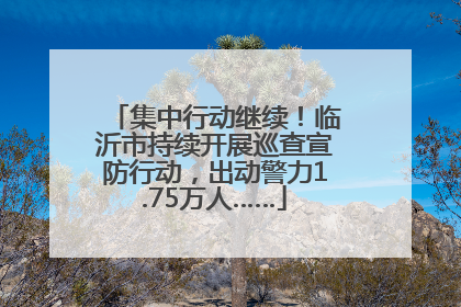 集中行动继续！临沂市持续开展巡查宣防行动，出动警力1.75万人……