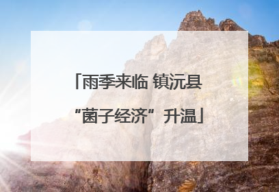 雨季来临 镇沅县“菌子经济”升温