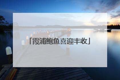 霞浦鲍鱼喜迎丰收