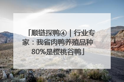顺链探鸭④｜行业专家：我省肉鸭养殖品种80%是樱桃谷鸭