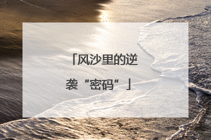 风沙里的逆袭“密码”