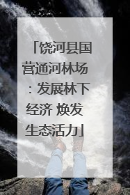 饶河县国营通河林场：发展林下经济 焕发生态活力