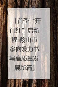 首季“开门红”启新程 鞍山市多向发力书写高质量发展新篇