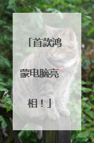 首款鸿蒙电脑亮相！