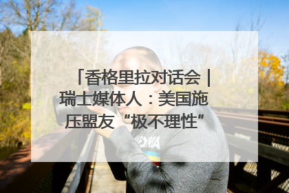 香格里拉对话会｜瑞士媒体人：美国施压盟友“极不理性” 欧洲国家无意与中国“脱钩断链”