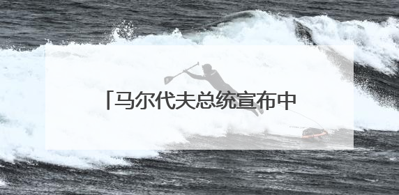 马尔代夫总统宣布中马友谊大桥通车日为“国家工程师日”