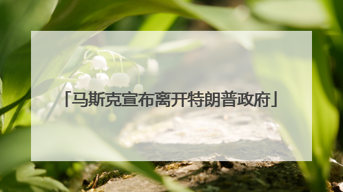 马斯克宣布离开特朗普政府