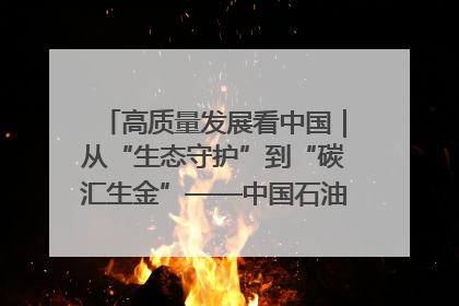 高质量发展看中国｜从“生态守护”到“碳汇生金”——中国石油大庆油田绿色蝶变