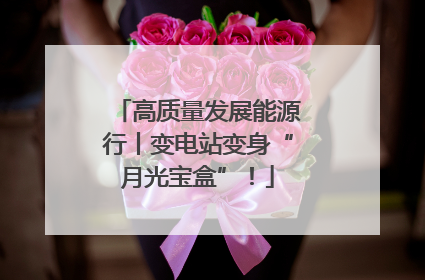 高质量发展能源行丨变电站变身“月光宝盒”！