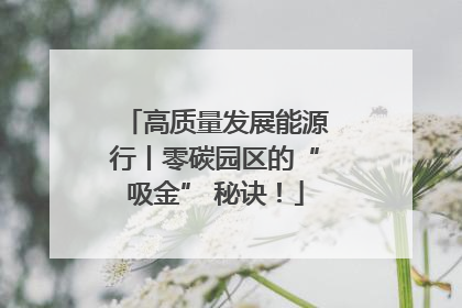 高质量发展能源行丨零碳园区的“吸金” 秘诀！