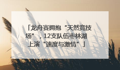 龙舟赛拥抱“天然竞技场”，12支队伍枣林湖上演“速度与激情”